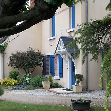 Loire, Chateaux, Et Vignes Onzain Rom bilde