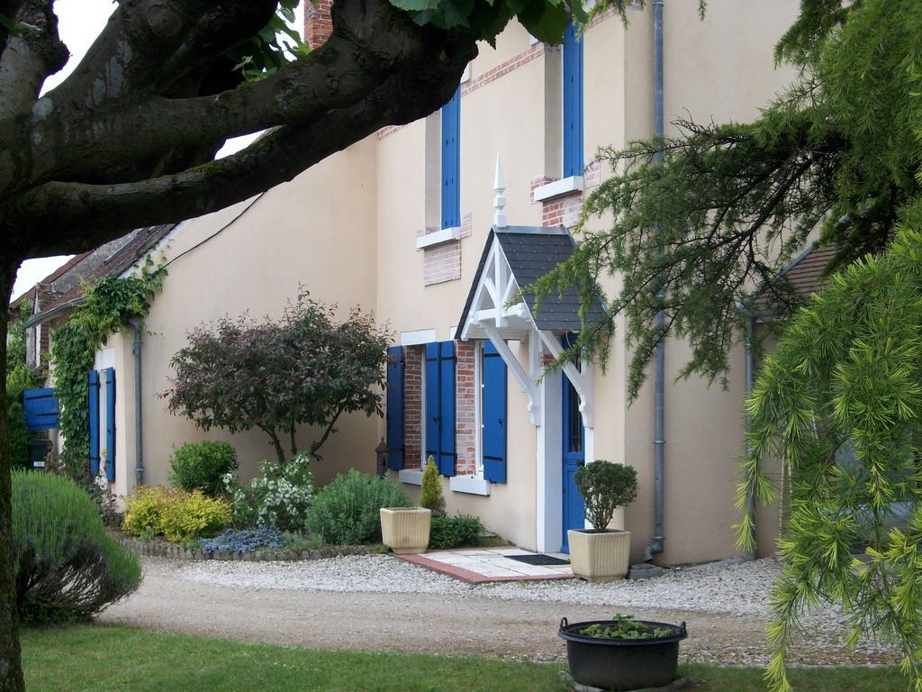 Loire, Chateaux, Et Vignes Onzain Rom bilde